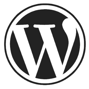 עידן זינגרמן בניית אתרי WordPress